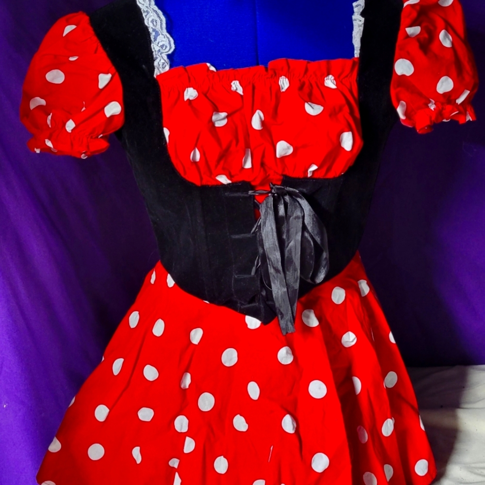Minnie mouse costume